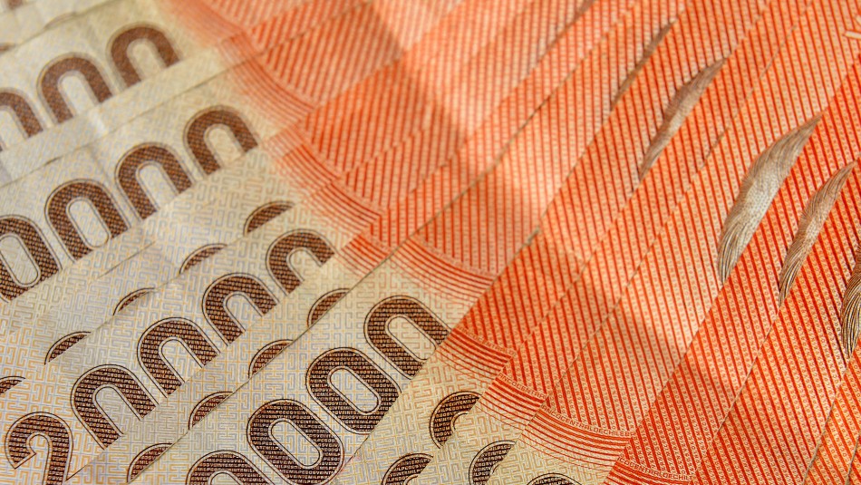 Imagen referencial. Ingreso Familiar de Emergencia 2.0: ¿En qué casos puede bajar el monto del aporte?
