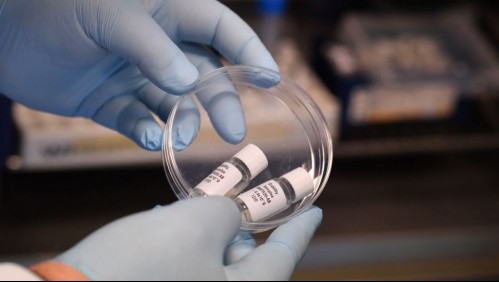 Vacuna candidata contra el coronavirus tendrá resultados de ensayos clínicos en julio