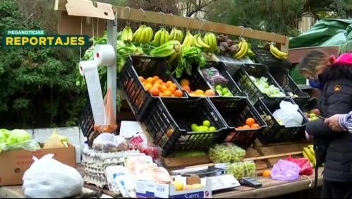 Reconvertidos: Chilenos que le ganaron a la crisis de coronavirus