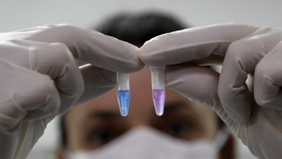 Expertos señalan que coronavirus se comporta como enfermedad de transmisión sexual Expertos señalan que coronavirus se comporta como enfermedad de transmisión sexual
