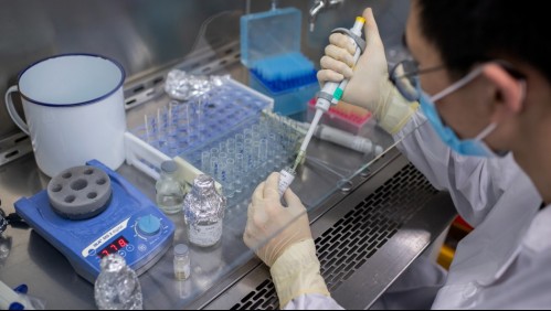 Ensayos de vacuna china CoronaVac en Chile: Ministro Paris aseguró que ofrecimiento 'se está analizando'