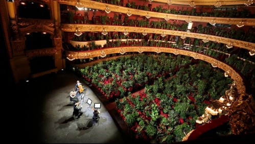 Teatro de España reabre con concierto para más de 2.200 plantas