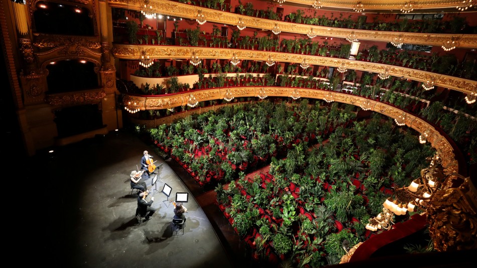 Teatro de España reabre con concierto para más de 2.200 plantas Teatro de España reabre con concierto para más de 2.200 plantas