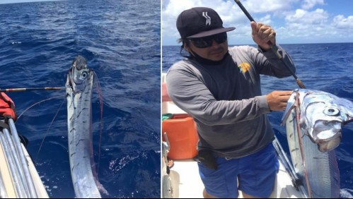 Culpan a 'pez remo' por terremoto en México: Símbolo de 'mal augurio' fue visto pocos días antes