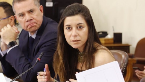 '¡Amor! ¡Te están llamando!': Diputada Cicardini protagoniza insólita situación en sesión de la Cámara