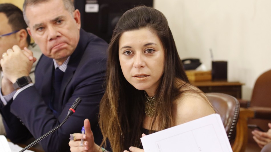 Diputada Daniella Cicardini