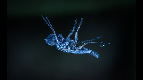 El frío y el encierro aumentan el riesgo de que se escondan piojos en la ropa