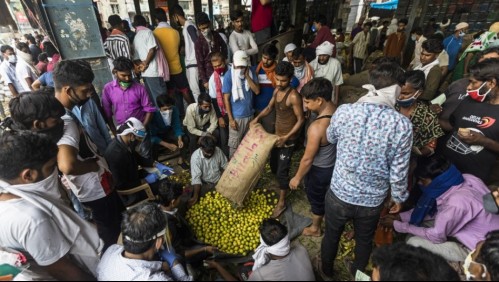 India supera los 500.000 casos de coronavirus