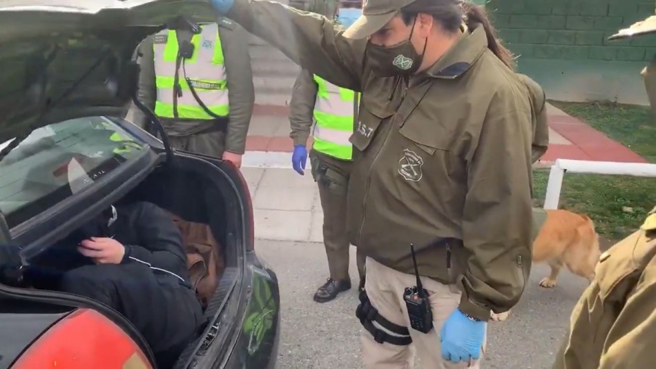 Descubren a persona oculta en maletero de un taxi tras fiscalización en Curacaví Descubren a persona que se ocultaba en el maletero de un taxi tras fiscalización en Curacaví