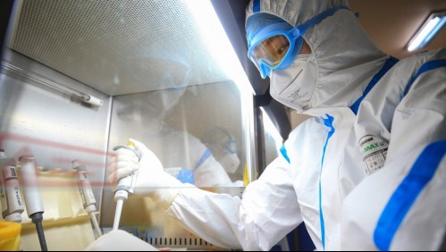 Alertan sobre aparición de virus similar a la gripe porcina con 'potencial pandémico' en China