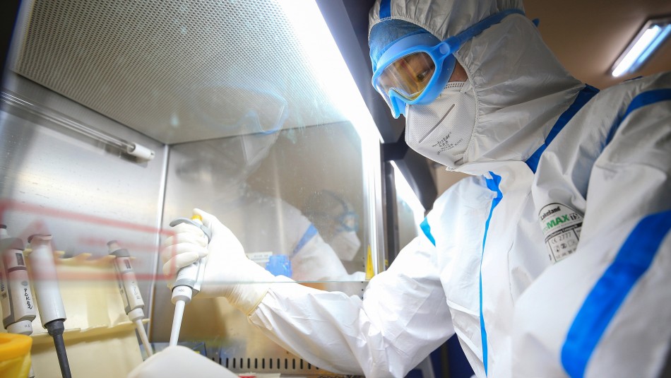 Alertan sobre virus similar a la gripe porcina en China Alertan sobre aparición de virus similar a la gripe porcina con