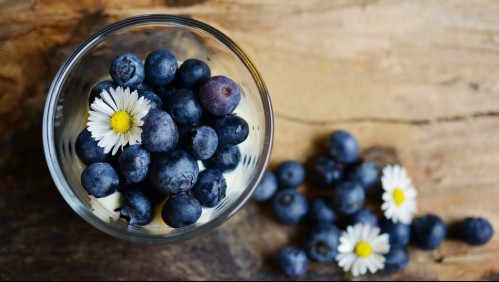 Estos son los beneficios que aportan los arándanos a la salud
