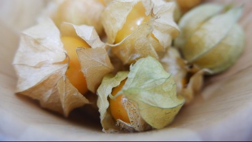 Golden berry: Conoce las propiedades de este 'súper alimento'