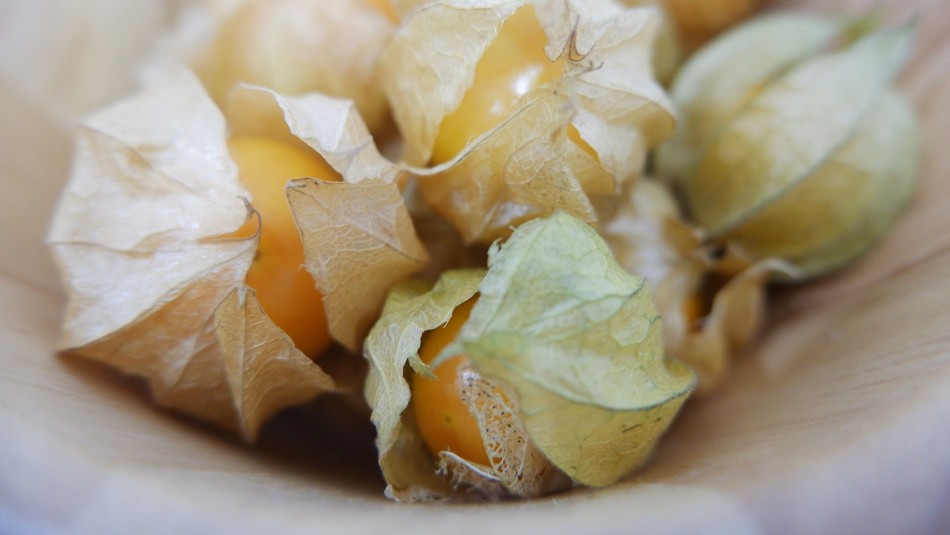 Golden berry: Las razones para consumir el fruto que es considerado Golden berry: Las razones para consumir el fruto que es considerado