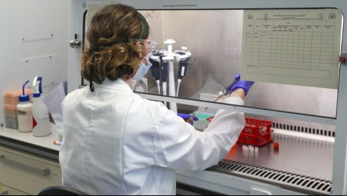 Doctora tras avance de vacuna contra coronavirus: 'La expectativa es tener millones de dosis para finales de año'