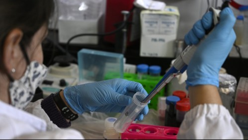 Vacuna contra coronavirus: Los requisitos para que sea aprobada por la FDA