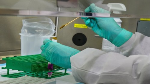 Estudio revela los peligros que representa un paciente asintomático de coronavirus