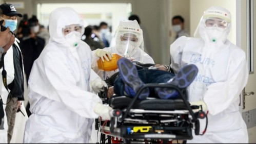 Dos personas habrían muerto por peste negra tras consumir carne de roedor en Mongolia