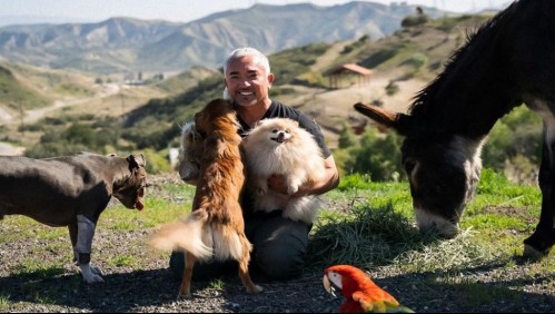 'El encantador de perros': Los consejos de César Millán ante ola de adopciones por la cuarentena