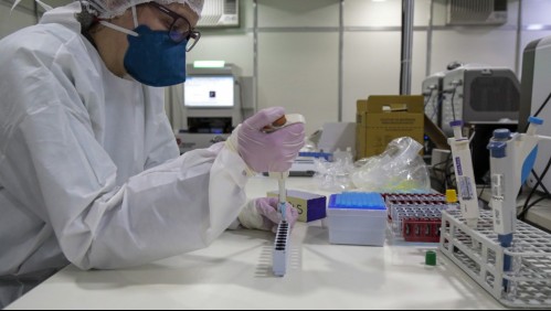 China descarta que presunta nueva cepa de gripe porcina afecte fácilmente a los humanos