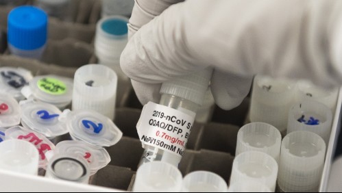 Más de un millón de pesos: Esto reciben los voluntarios que prueban vacunas contra coronavirus en Australia