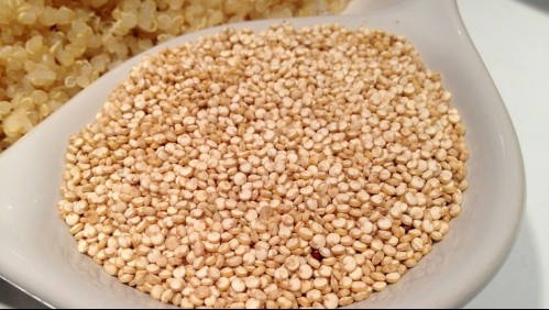Antioxidante por excelencia: Mira los beneficios que otorga a tu organismo la quinoa