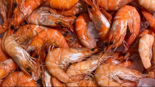 Detectan coronavirus en paquetes de camarones ecuatorianos: China suspende importaciones