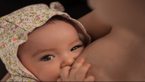 Estudio internacional: Pasteurizar la leche materna inactiva el coronavirus