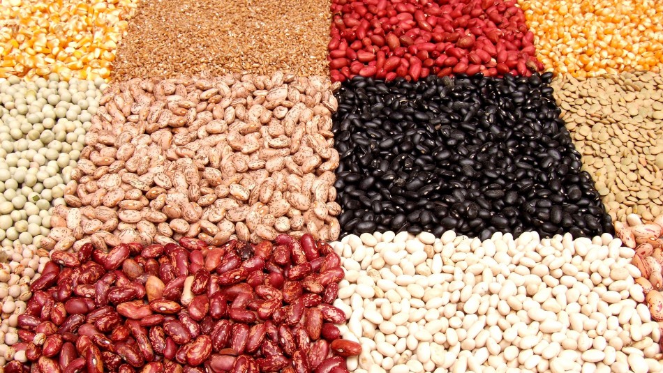 ¿Son nutritivas? ¿Engordan?: Conoce los mitos y verdades sobre el consumo de legumbres ¿Son nutritivas? ¿Engordan?: Conoce los mitos y verdades sobre el consumo de legumbres