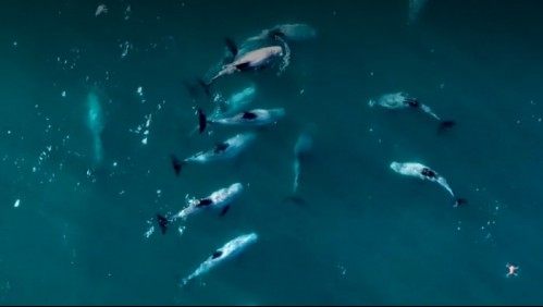 De vuelta al mar: El regreso de los pescadores artesanales y los efectos de la pandemia en el océano