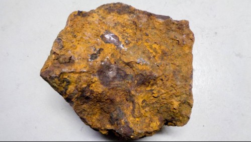 Descubren el meteorito más grande nunca visto en Alemania: Estaba 'oculto' en el jardín de una casa