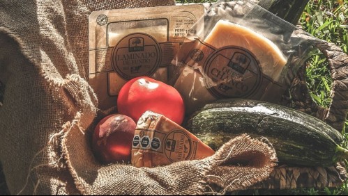 Sustentables y prácticos: el proyecto que revolucionará los envases en Chile