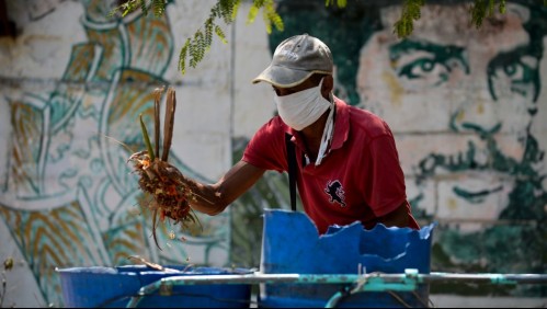Libre de pandemia: Cuba amanece sin nuevos casos de coronavirus