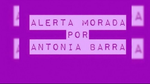 Alerta Morada: El origen del movimiento en redes sociales para pedir justicia por Antonia Barra