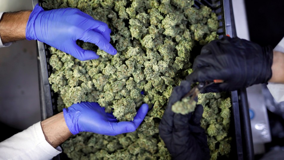 Consumir drogas en Francia tendrá una multa de 200 euros cuando comience el año escolar Consumir drogas en Francia tendrá una multa de 200 euros cuando comience el año escolar