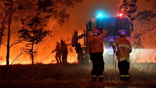 Casi tres mil millones de animales murieron en los incendios que afectaron a Australia