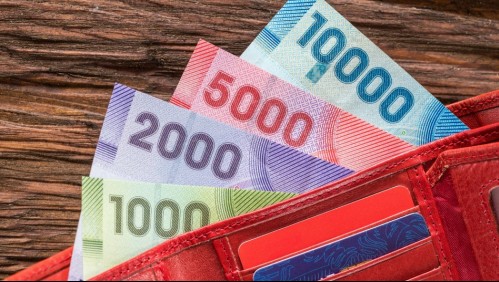 Así es el formulario de AFP Provida para retirar el 10% de los fondos previsionales