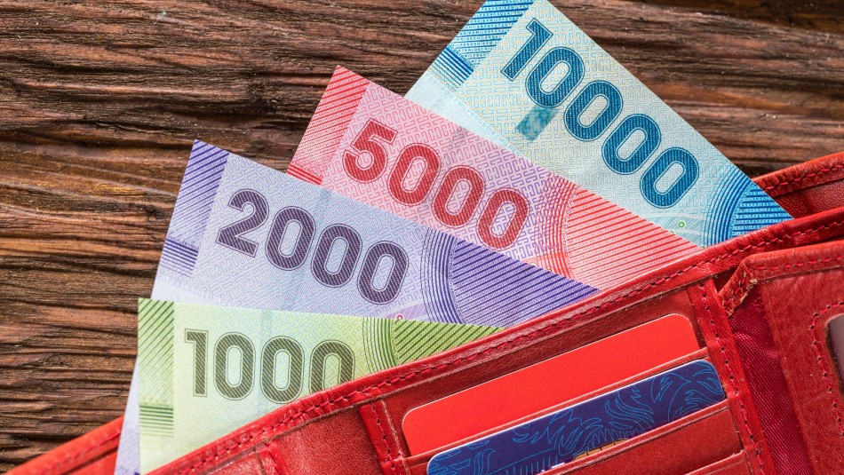 Así es el formulario de AFP Provida para retirar el 10% de los fondos previsionales AFP pago del 10%