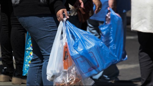 Fin de las bolsas plásticas en el comercio: ¿Cuándo comienza la normativa?