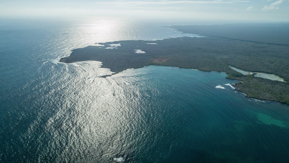 Isla Galápagos Ecuador pedirá apoyo a Chile y otros países por presencia de flota pesquera china cerca de Galápagos