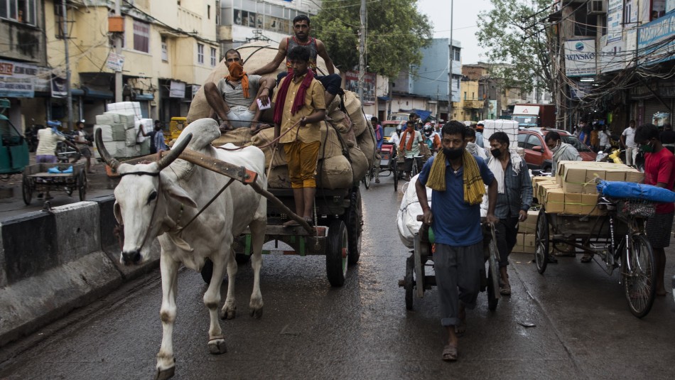 Diez muertos tras ingerir desinfectante por restricciones en venta de bebidas alcohólicas en India Diez muertos tras ingerir desinfectante por restricciones en venta de bebidas alcohólicas en India
