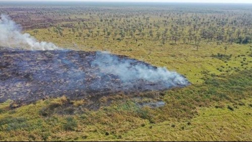 Incendio consumió 40 mil hectáreas de reserva natural en Bolivia