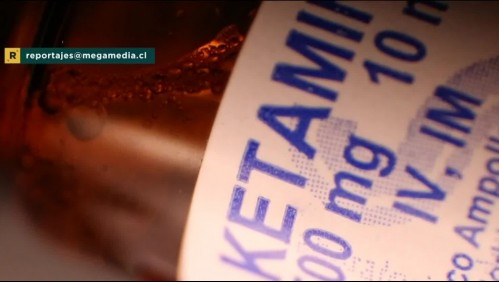 Alerta Ketamina: Banda traficaba anestesia para caballos