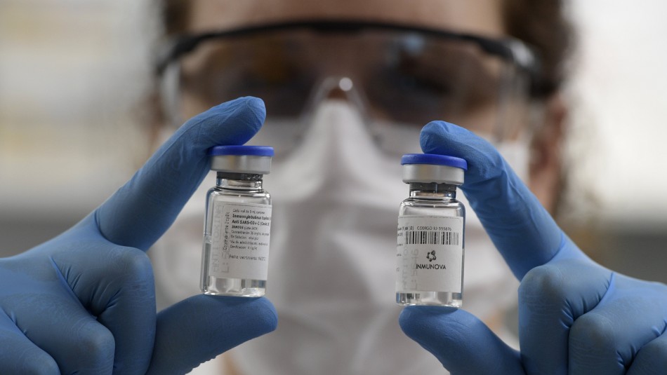 Plasma de caballo sería clave para inmunizar a pacientes con coronavirus