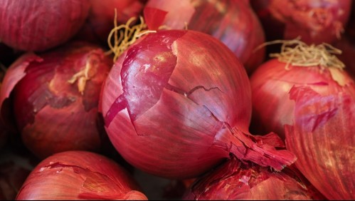 Alerta por brote de Salmonella relacionado a la cebolla morada en Estados Unidos