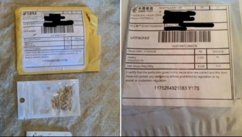 Estados Unidos identifica algunas de las semillas enviadas misteriosamente desde China