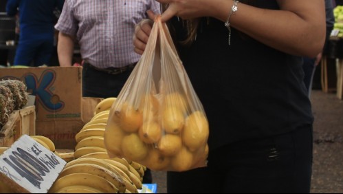 Comienza prohibición de entregar bolsas plásticas en almacenes de barrios y ferias libres