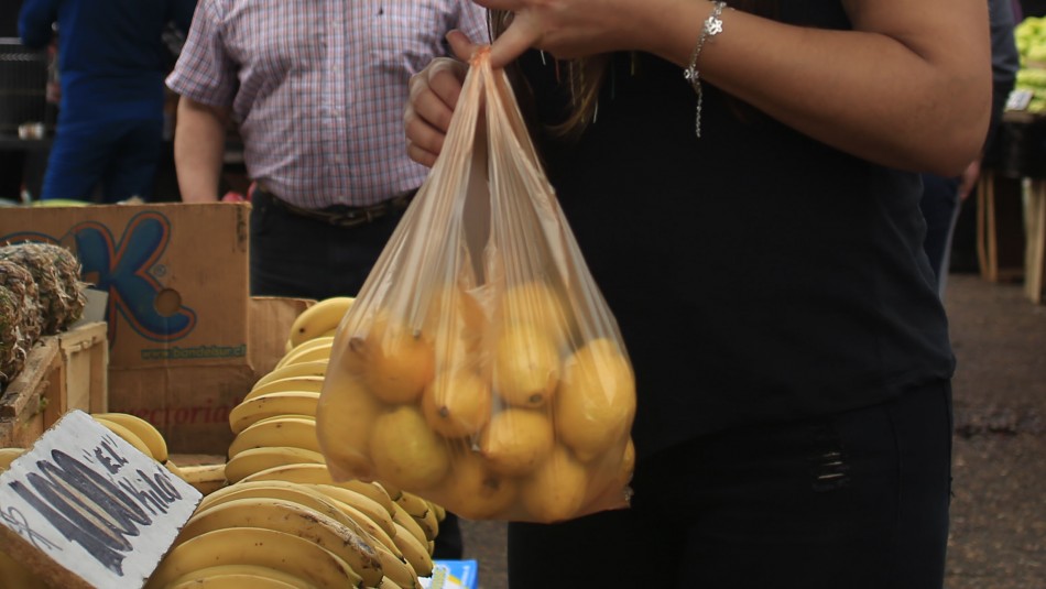 Comienza prohibición de entregar bolsas plásticas almacenes de barrios ferias libres Comienza prohibición de entregar bolsas plásticas en almacenes de barrios y ferias libres
