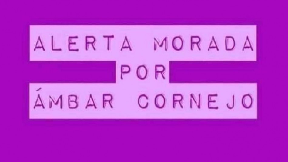 Alerta Morada por Ámbar Cornejo: Movimiento en redes sociales pide justicia tras muerte de joven en Villa Alemana Alerta Morada por Ámbar Cornejo: Movimiento en redes sociales pide justicia tras muerte de joven en Villa Alemana