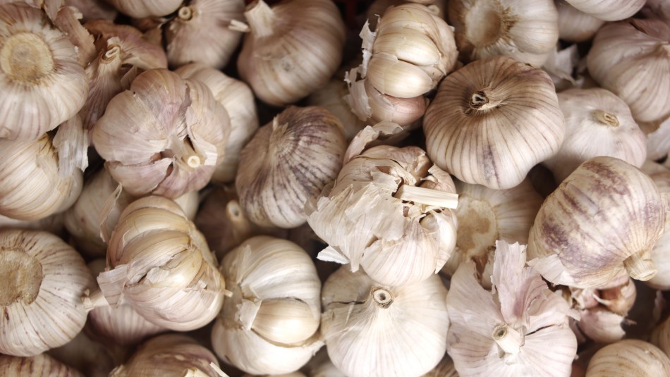 Imagen referencial Ajo: Las propiedades del súperalimento que mejora la libido